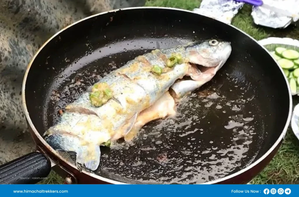 trout fish in himachal